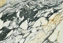 Calacatta Picasso