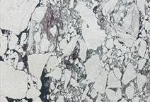 Calacatta Viola Antico