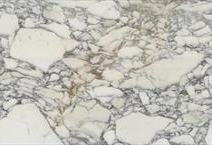 Arabescato Corchia Extra