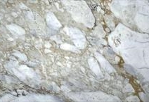 Calacatta Gold Venato