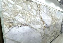 Calacatta Gold Venato